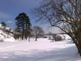 Winter in the park Winter in the park