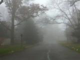 Dense Fog