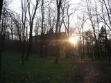 Park Dzikowskich Park Dzikowskich