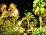 Night Salou Night Salou