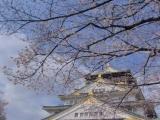 Castle_of_Osaka