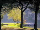 Parklicht