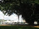 Hilo Farmers Market