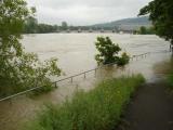 Hochwasser am Rhein,Basel, 1.Juni 2013 Hochwasser am Rhein,Basel, 1.Juni 2013