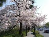 Horikawa St. Horikawa St.