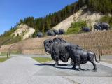 Archeopark. (mammoths) Archeopark. (mammoths)