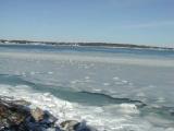 Back Cove, December