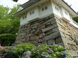 the Tsu-jo Castle ruins