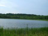 Озеро в д. Елизарово. Lake Озеро в д. Елизарово. Lake