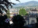 Montreux Flowers {If You Belonged To Me}