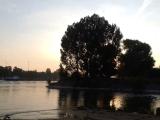 Birsköpfli, Rhein, Birs, Basel, Birsfelden Birsköpfli, Rhein, Birs, Basel, Birsfelden