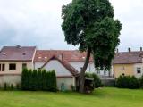 Pacov Pacov