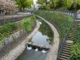 Stream near the Nagasaki Atomic Bomb Epicenter Stream near the Nagasaki Atomic Bomb Epicenter