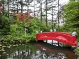 善知鳥神社 善知鳥神社