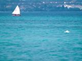 Barchetta sul lago