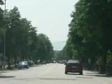 Greenery in town near Hristo Botev highschool Greenery in town near Hristo Botev highschool