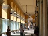 cuneo