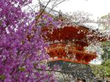 Nin'na- ji Temple