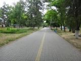 Аллея в парке Аллея в парке