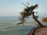 Particolare del Lungolago di Lazise Particolare del Lungolago di Lazise