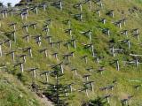 Schweiz. Appenzell. 'Lawinenverbauungen'. Dafür das die Schweiz nicht abrutscht. Oberflächlich ;)