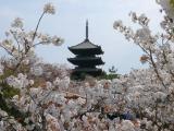 I love Kyoto