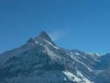 Schreckhorn