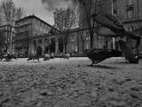 Centro Ancona B&W Centro Ancona B&W