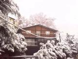 La Massana La Massana