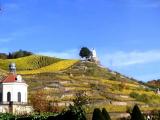 Radebeul Weinberge Schloss Wackerbart Radebeul Weinberge Schloss Wackerbart