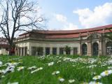 Orangerie Orangerie