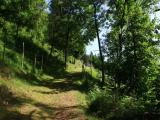 Fussweg, Leysin, VD, CH. Fussweg, Leysin, VD, CH.