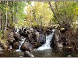 Riu Rialb, El Serrat. Riu Rialb, El Serrat.