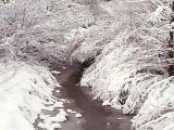 DT03-Frozen creek in Santa Fe