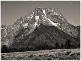 Mt. Moran