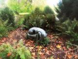 le sommeil de l'automne - when the autumn sleeps... le sommeil de l'automne - when the autumn sleeps...