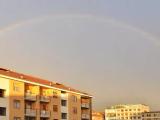 Biella Biella
