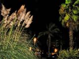 Noche Salou Noche Salou