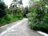 Форос, парк