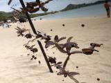 ☆Lamai Beach☆ ☆Lamai Beach☆