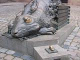 Dürer's Hase Dürer's Hase