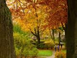 Herbst in Nürnberg Herbst in Nürnberg