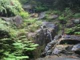 三滝寺 駒ヶ滝 三滝寺 駒ヶ滝