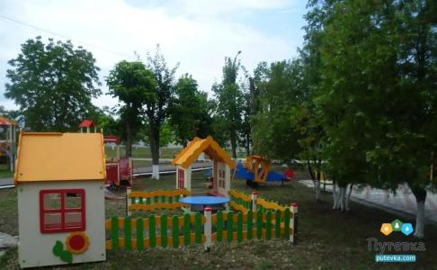 Василек - 6