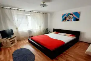 Комфортная 2-х комнатная квартира в Лида