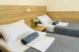 Двухместный номер с 2 отдельными кроватями или с 1 двуспальной кроватью эконом с видом на горы или сад, Геленджик