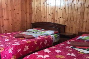 Трёхместный номер стандарт, Адлер