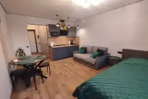 Уютная студия с видом на парк, Вологда