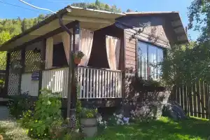 Дом в саду