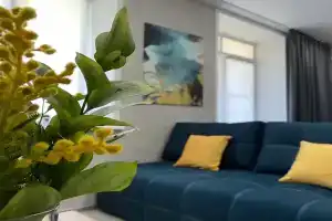 Лучший вариант размещения, Лесосибирск